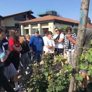 Gli studenti ascoltano con interesse la lezione dal vivo nell'azienda Conterno Fantino di Monforte d'Alba