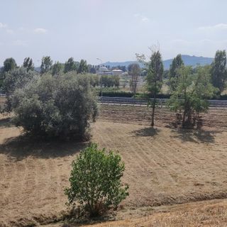 La zona dove dovrebbe sorgere l'impianto