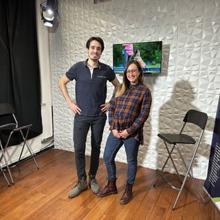 Educazione del cane: rivedi lo Speciale Backstage con Imbimbo Vet