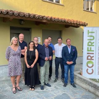 Corifrut, cooperativa con più di cento aziende che in Piemonte coltivano 800 ettari di noccioli