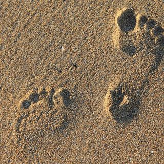 In Punta di Piedi, storie di donne che hanno lasciato la loro impronta nella storia