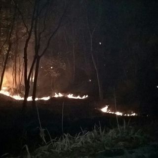 Immagine di repertorio