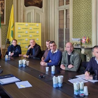 Peste dei cinghiali, Coldiretti: redditività imprese suinicole a rischio, normativa da modificare