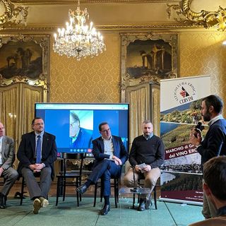 L'intervento di Luca Luigi Tosa