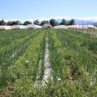 La Cia organizza cinque incontri per spiegare la nuova Pac