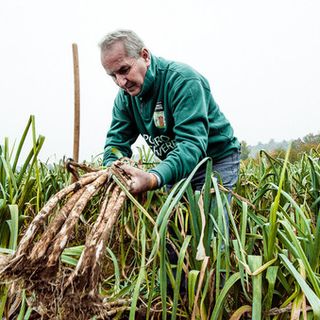 Foto di Barbara Guazzone