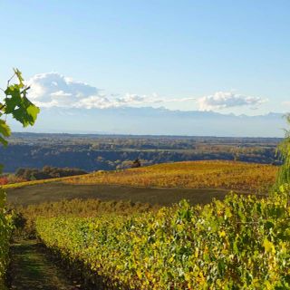 L’Unione Europea premia le aziende agricole, i negozi e i ristoranti che producono e scelgono il biologico