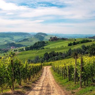 Importantissima acquisizione nel mondo del vino: tre ettari a Barolo nel Cru Perno per Marchesi di Barolo