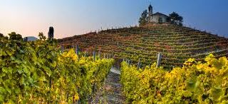 Immagine di repertorio