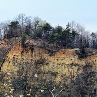  Tra gli impegni di Canale Ecologia la prosecuzione delle acquisizioni di nuovi boschi e il potenziamento dell'attività di "outdoor education" nei confronti delle scuole