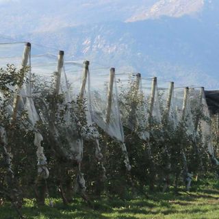 Le reti antigrandine sistemate in un campo per proteggere le colture