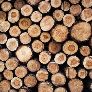 Crisi energetica: per Coldiretti è la filiera del legno l'alternativa sostenibile e rinnovabile Crisi energetica: per Coldiretti è la filiera del legno l'alternativa sostenibile e rinnovabile