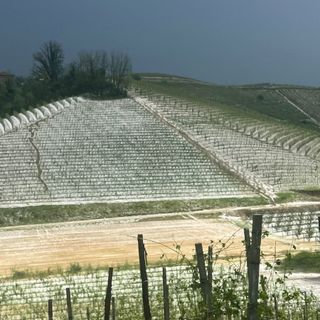 Le colline di Canale nei minuti successivi alla grandinata