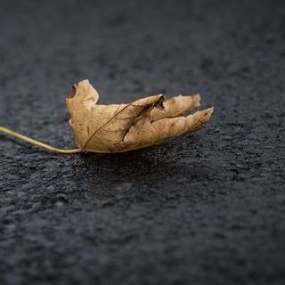 CHE TEMPO FARÀ / Inizio settimana grigio e di moderato maltempo CHE TEMPO FARÀ / Inizio settimana grigio e di moderato maltempo