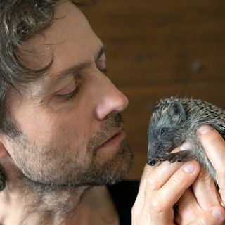 Massimo Vacchetta