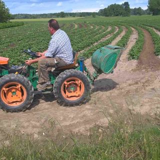 Silvio Monasterolo al lavoro nei terreni coltivati a patate