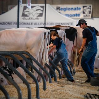 Tante proposte per la prima domenica di settembre da trascorrere nella Granda