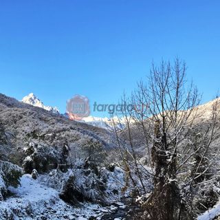 Immagine di repertorio