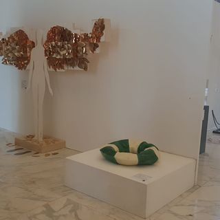 Biennale dei licei Artistici: in mostra l'opera di una studentessa del "Bianchi Virginio" di Cuneo