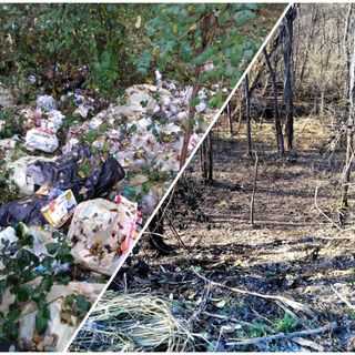 Nelle immagini, l'area prima e dopo l'intervento di bonifica