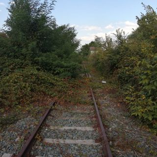 Ferrovie sospese, si dice che se ci fossero i treni la gente li prenderebbe: ma è davvero così?
