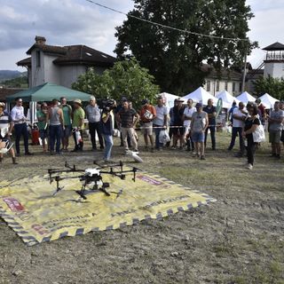 Confagricoltura organizza ad Alba l’ottava edizione delle prove dimostrative in vigneto