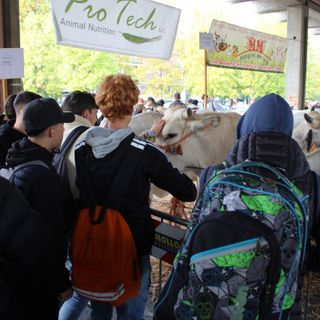 Premiati gli allevatori della Grande rassegna di bovini piemontesi di Alba