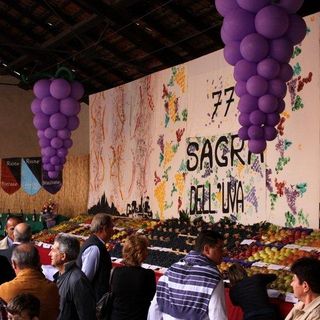 Appuntamento con la sagra dell'uva di Costigliole Saluzzo