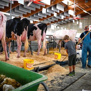 Saluzzo, domani il gran finale per la Mostra della Meccanica Agricola