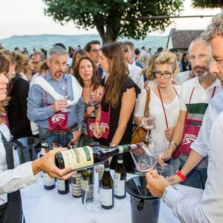 L’export dei vini piemontesi cresce del 12%, ma pesa il rincaro dei costi in cantina