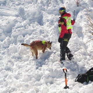 In Granda nella scorsa stagione invernale pochi incidenti da valanga e nessun decesso sotto la neve In Granda nella scorsa stagione invernale pochi incidenti da valanga e nessun decesso sotto la neve