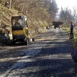 Immagine di repertorio