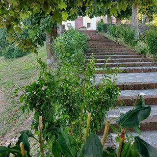 A San Donato di Mango il nuovo percorso artistico "San Donato Incantata"