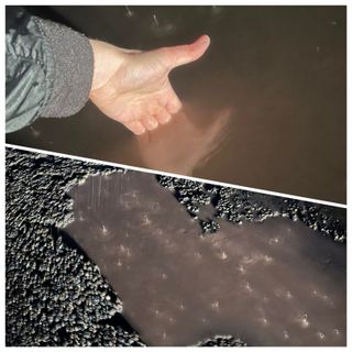 Buche nell'asfalto sulla tangenziale di Asti: diverse le auto con gomme "scoppiate" [VIDEO]