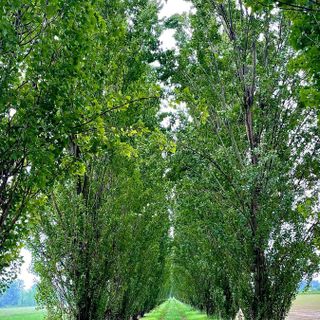 Tenuta Berroni, settecentesca dimora alle porte di Racconigi