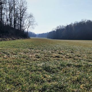 Le campagne al confine tra le province di Torino e Cuneo, dove sarebbe dovuto sorgere l'allevamento