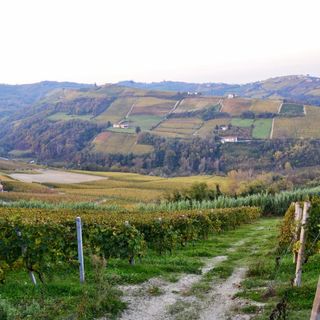 Le colline di Trezzo Tinella