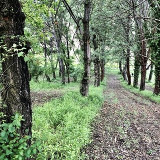 Immagini di repertorio