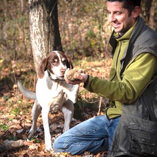 La cerca del tartufo (foto di Tino Gerbaldo)