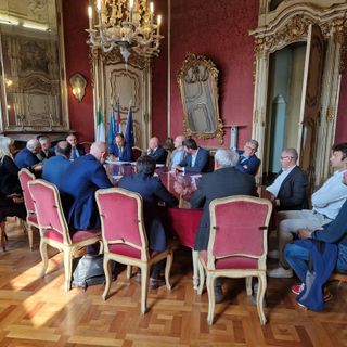 Peste dei cinghiali, Coldiretti Cuneo chiede "azioni rapide per salvare le imprese"