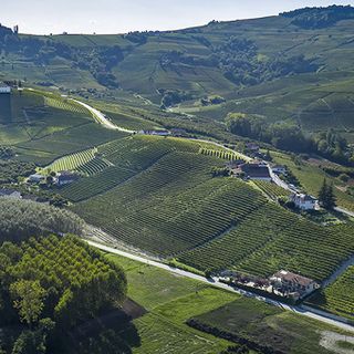 Paolo Boffa - Presidente Terre del Barolo (foto di Bruno Murialdo)