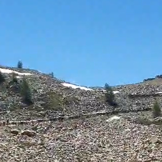 Da Torino a Cuneo per vivere la transumanza dalla Valle Stura a Mollieres in Francia [VIDEO]