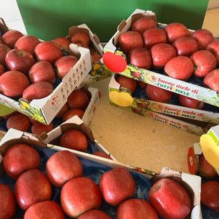 Dalla crisi climatica al caro materiali: il comparto frutticolo si prepara alle prossime sfide Dalla crisi climatica al caro materiali: il comparto frutticolo si prepara alle prossime sfide