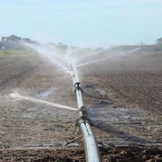 Coldiretti Piemonte: "Scarsità piogge sud Piemonte, necessarie le irrigazioni di soccorso”