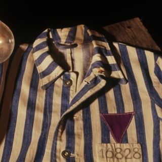 Migliaia i testimoni di Geova vittime della persecuzione nazista: sono i "dimenticati dalla Storia"