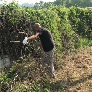 Nelle foto i volontari braidesi intenti nelle opere di bonifica, presso il pilone del vecchio ponte albertino, a Pollenzo