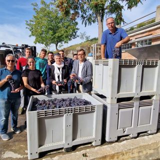 "Si svigna": vendemmia dentro le mura del carcere albese con la Scuola enologica