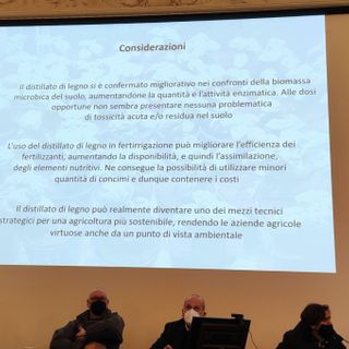 Venerdì 21 gennaio si è svolto a Siena il 1° workshop BioDea 2022