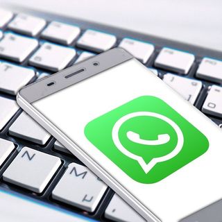 L'informazione della provincia di Cuneo sempre con voi: ecco il nostro nuovo canale WhatsApp con TargatoCn e LaVoceDiAlba