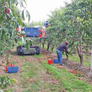 Immagine di repertorio